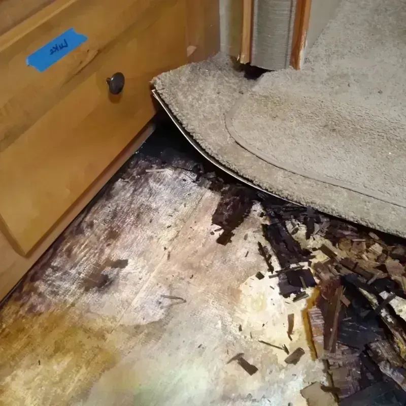 Best Wood Floor Water Damage Service in Casa Grande, AZ